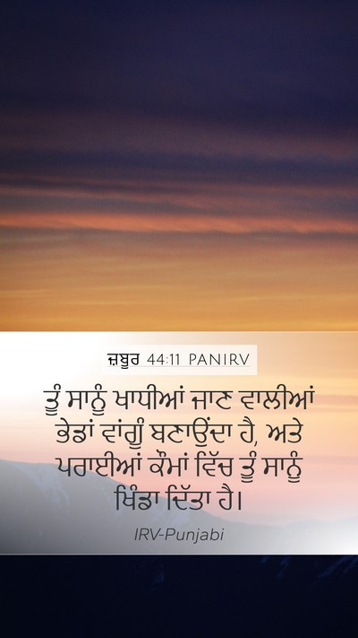 ਜ਼ਬੂਰ 44:11 PANIRV Bible Verse Image