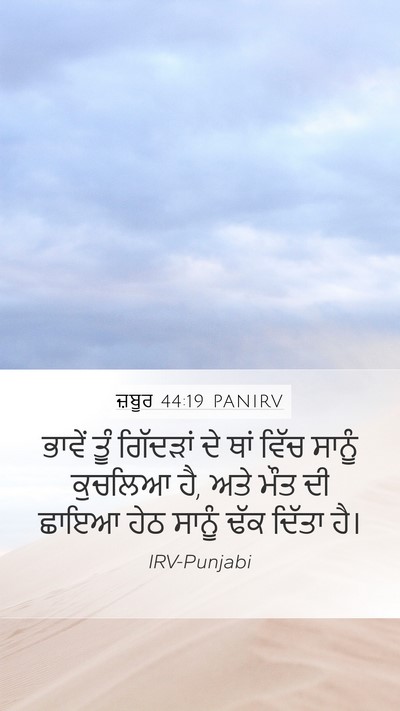 ਜ਼ਬੂਰ 44:19 PANIRV Bible Verse Image