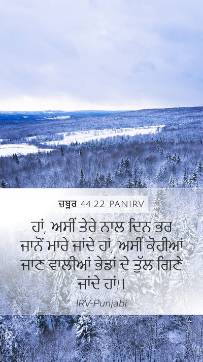ਜ਼ਬੂਰ 44:22 PANIRV Bible Verse Image