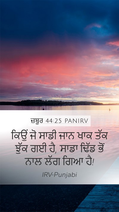 ਜ਼ਬੂਰ 44:25 PANIRV Bible Verse Image