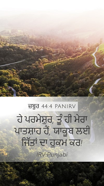 ਜ਼ਬੂਰ 44:4 PANIRV Bible Verse Image
