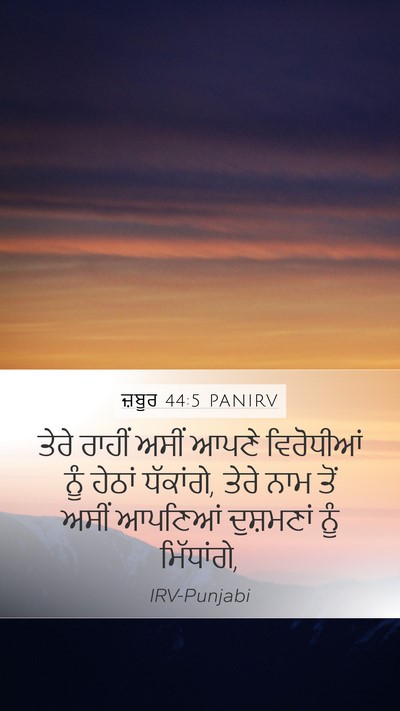 ਜ਼ਬੂਰ 44:5 PANIRV Bible Verse Image