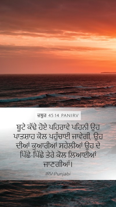 ਜ਼ਬੂਰ 45:14 PANIRV Bible Verse Image