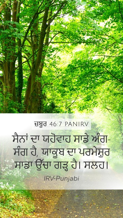 ਜ਼ਬੂਰ 46:7 PANIRV Bible Verse Image