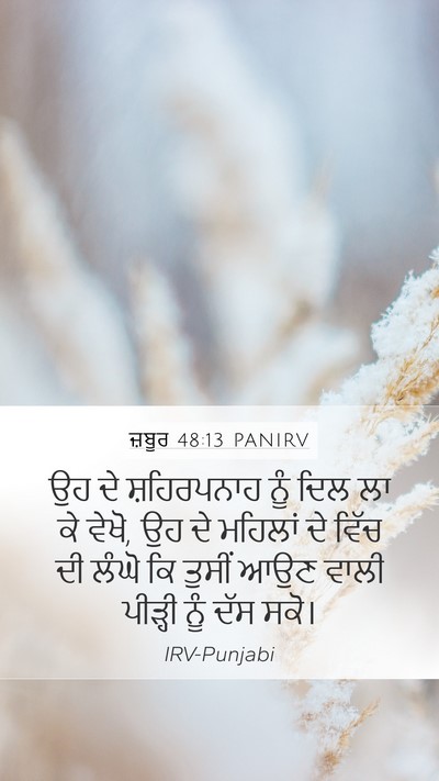 ਜ਼ਬੂਰ 48:13 PANIRV Mobile Phone Wallpaper - ਉਹ ਦੇ ਸ਼ਹਿਰਪਨਾਹ - Mobile Bible Verse Wallpaper