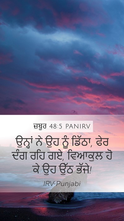 ਜ਼ਬੂਰ 48:5 PANIRV Bible Verse Image