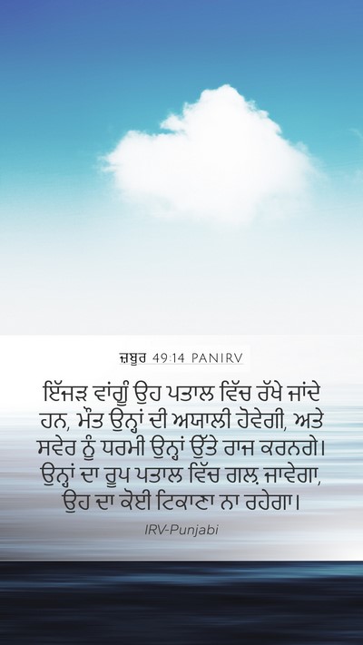 ਜ਼ਬੂਰ 49:14 PANIRV Bible Verse Image