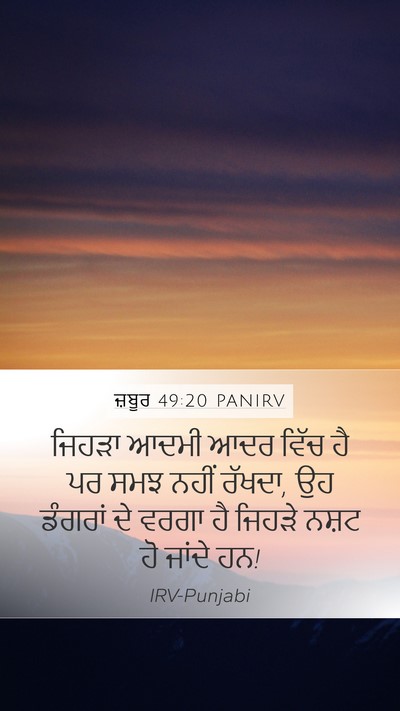 ਜ਼ਬੂਰ 49:20 PANIRV Bible Verse Image