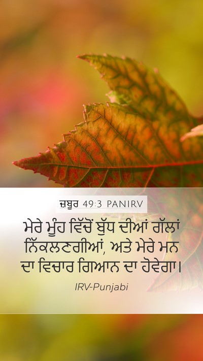 ਜ਼ਬੂਰ 49:3 PANIRV Bible Verse Image