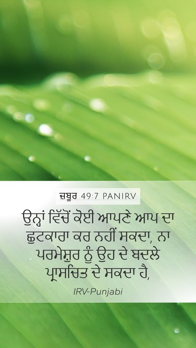 ਜ਼ਬੂਰ 49:7 PANIRV Bible Verse Image