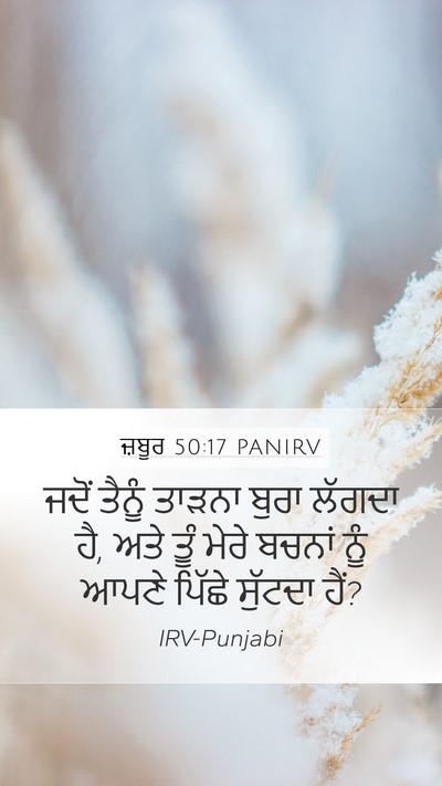 ਜ਼ਬੂਰ 50:17 PANIRV Mobile Phone Wallpaper - ਜਦੋਂ ਤੈਨੂੰ ਤਾੜਨਾ - Mobile Bible Verse Wallpaper