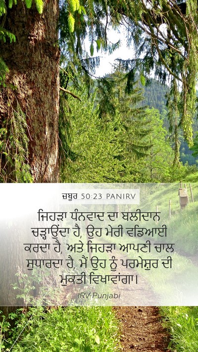 ਜ਼ਬੂਰ 50:23 PANIRV Bible Verse Image