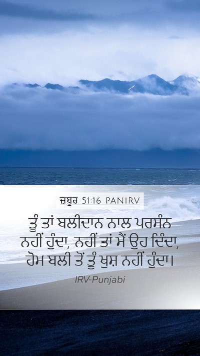 ਜ਼ਬੂਰ 51:16 PANIRV Bible Verse Image