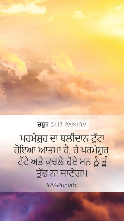 ਜ਼ਬੂਰ 51:17 PANIRV Bible Verse Image