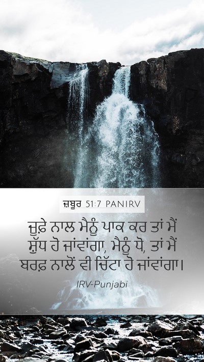 ਜ਼ਬੂਰ 51:7 PANIRV Bible Verse Image
