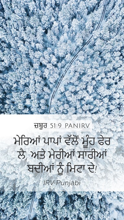 ਜ਼ਬੂਰ 51:9 PANIRV Bible Verse Image