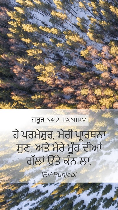 ਜ਼ਬੂਰ 54:2 PANIRV Bible Verse Image