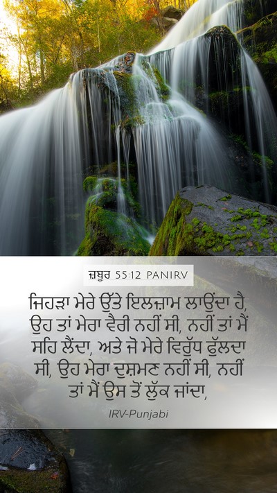 ਜ਼ਬੂਰ 55:12 PANIRV Bible Verse Image
