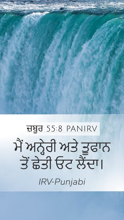 ਜ਼ਬੂਰ 55:8 PANIRV Bible Verse Image