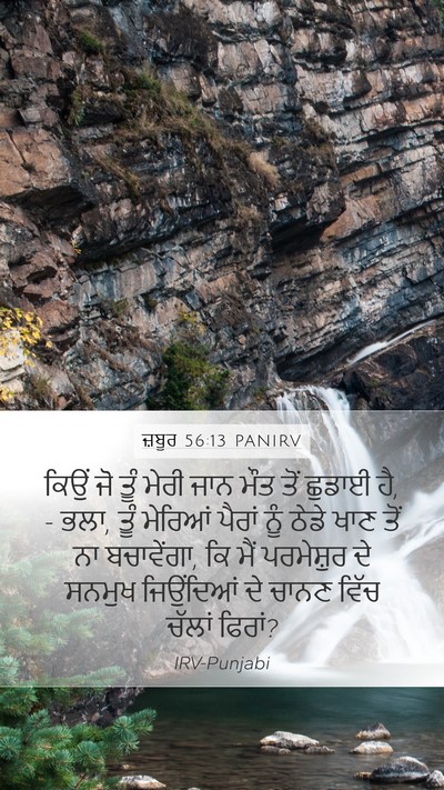 ਜ਼ਬੂਰ 56:13 PANIRV Bible Verse Image