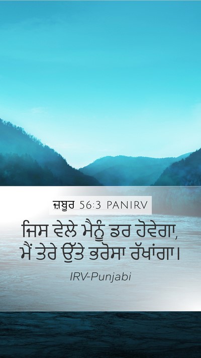 ਜ਼ਬੂਰ 56:3 PANIRV Bible Verse Image