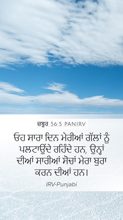 ਜ਼ਬੂਰ 56:5 PANIRV Bible Verse Image