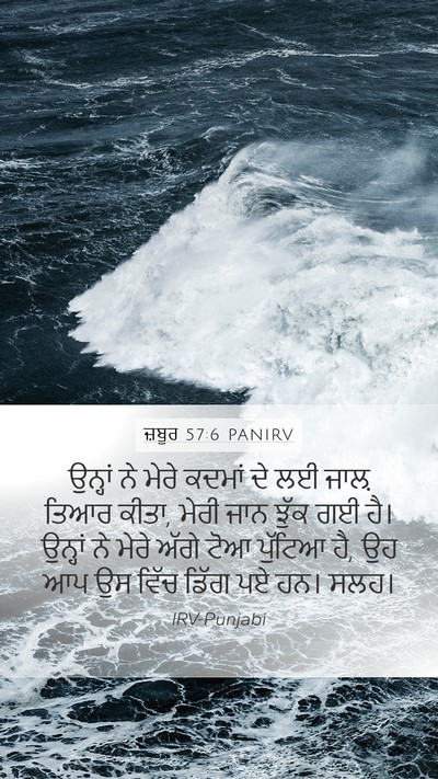 ਜ਼ਬੂਰ 57:6 PANIRV Bible Verse Image
