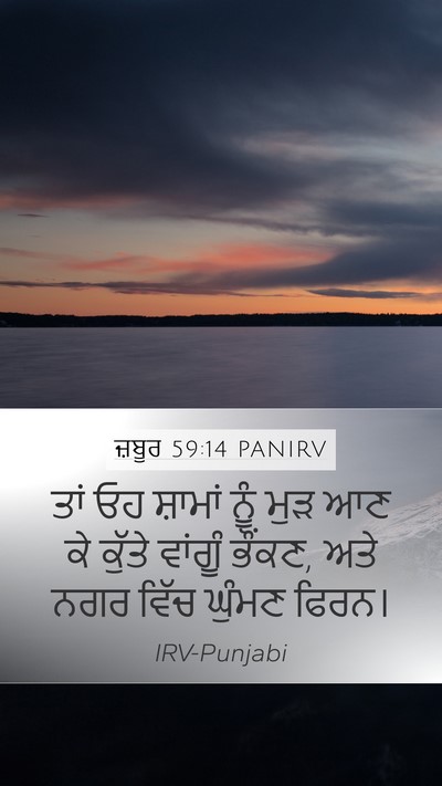 ਜ਼ਬੂਰ 59:14 PANIRV Mobile Phone Wallpaper - ਤਾਂ ਓਹ ਸ਼ਾਮਾਂ ਨੂੰ - Mobile Bible Verse Wallpaper