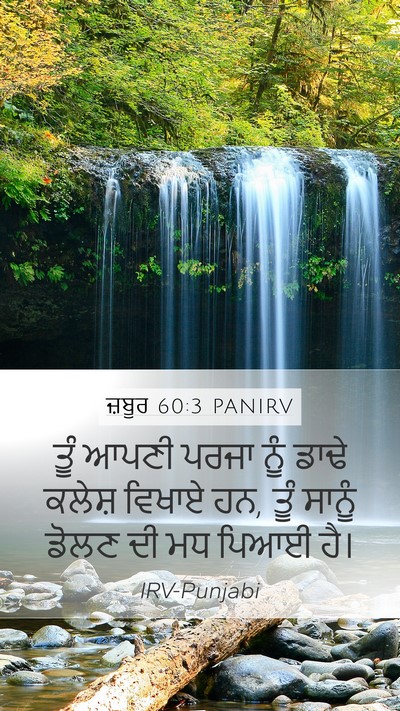 ਜ਼ਬੂਰ 60:3 PANIRV Bible Verse Image