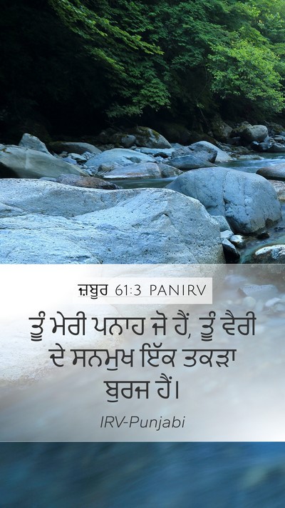 ਜ਼ਬੂਰ 61:3 PANIRV Bible Verse Image