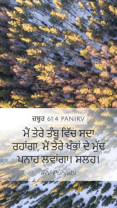 ਜ਼ਬੂਰ 61:4 PANIRV Bible Verse Image