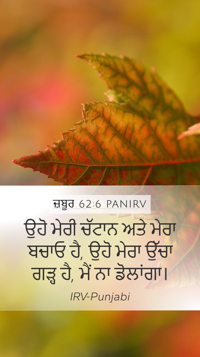 ਜ਼ਬੂਰ 62:6 PANIRV Bible Verse Image