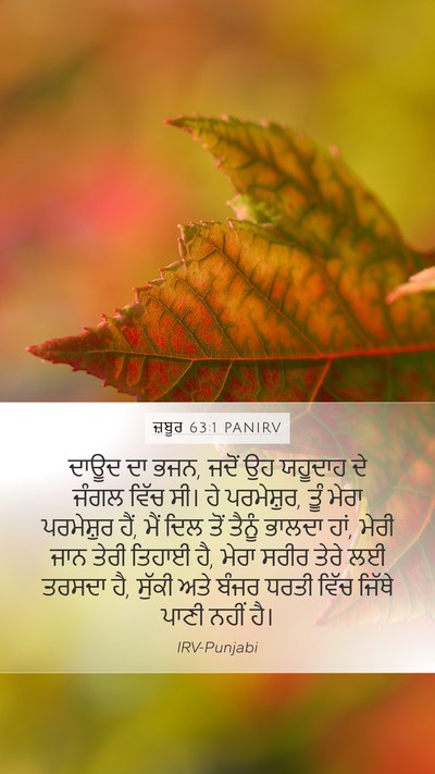 ਜ਼ਬੂਰ 63:1 PANIRV Bible Verse Image
