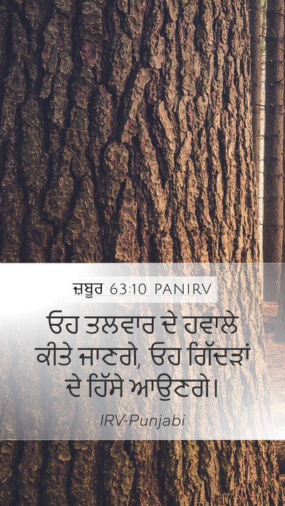 ਜ਼ਬੂਰ 63:10 PANIRV Mobile Phone Wallpaper - ਓਹ ਤਲਵਾਰ ਦੇ ਹਵਾਲੇ - Mobile Bible Verse Wallpaper