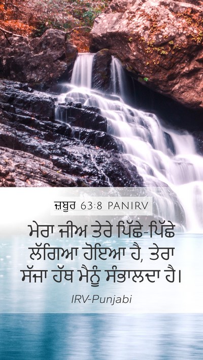 ਜ਼ਬੂਰ 63:8 PANIRV Bible Verse Image