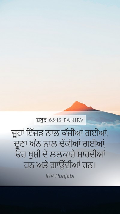 ਜ਼ਬੂਰ 65:13 PANIRV Bible Verse Image