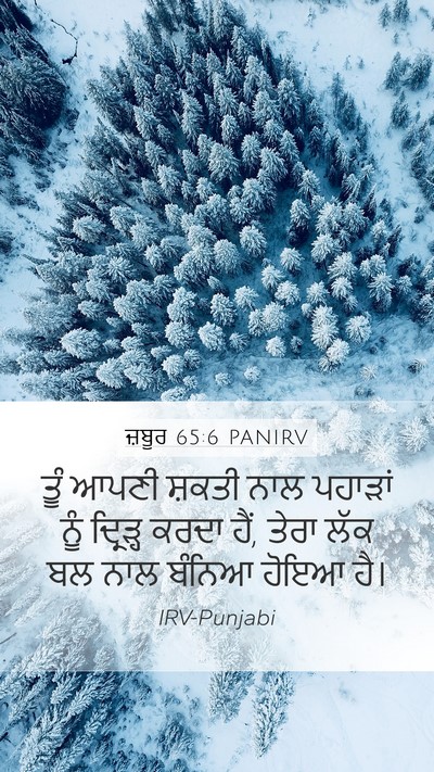 ਜ਼ਬੂਰ 65:6 PANIRV Bible Verse Image