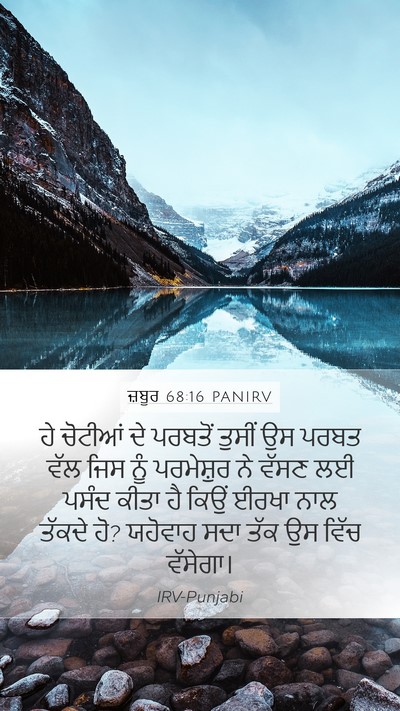 ਜ਼ਬੂਰ 68:16 PANIRV Bible Verse Image