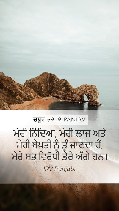 ਜ਼ਬੂਰ 69:19 PANIRV Mobile Phone Wallpaper - ਮੇਰੀ ਨਿੰਦਿਆ, ਮੇਰੀ - Mobile Bible Verse Wallpaper