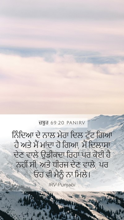 ਜ਼ਬੂਰ 69:20 PANIRV Bible Verse Image