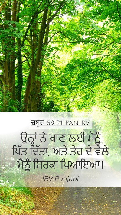 ਜ਼ਬੂਰ 69:21 PANIRV Bible Verse Image