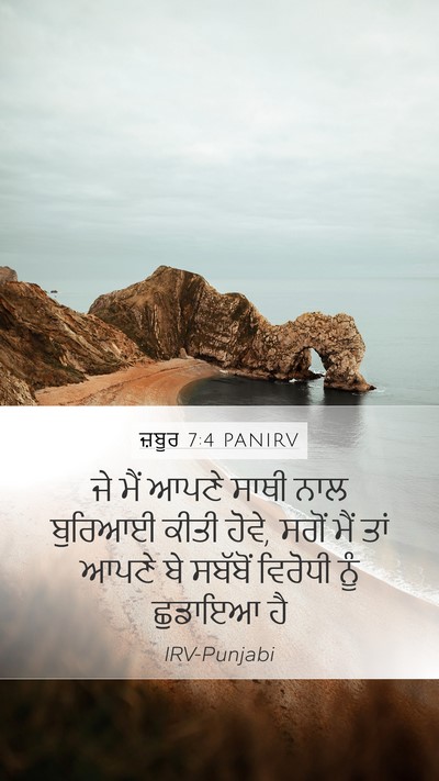 ਜ਼ਬੂਰ 7:4 PANIRV Bible Verse Image