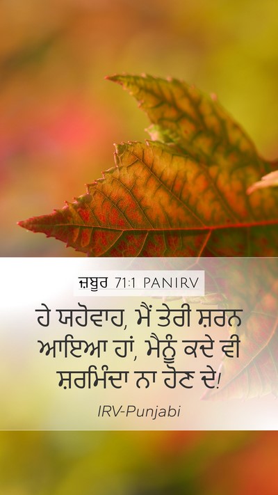 ਜ਼ਬੂਰ 71:1 PANIRV Mobile Phone Wallpaper - ਹੇ ਯਹੋਵਾਹ, ਮੈਂ ਤੇਰੀ - Mobile Bible Verse Wallpaper