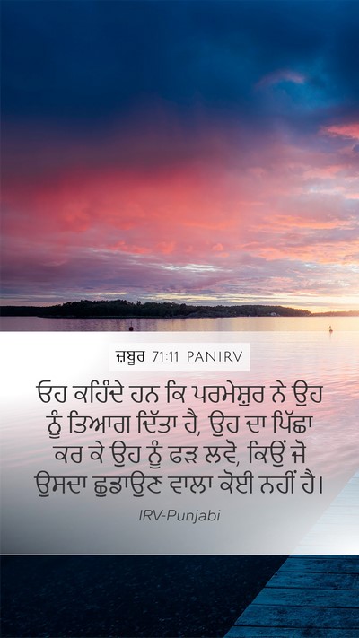 ਜ਼ਬੂਰ 71:11 PANIRV Bible Verse Image