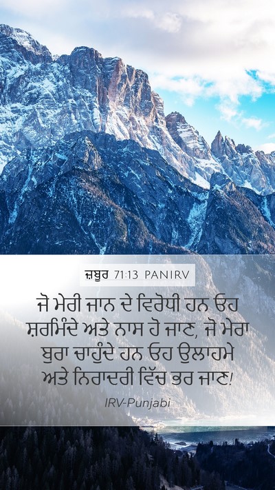 ਜ਼ਬੂਰ 71:13 PANIRV Bible Verse Image