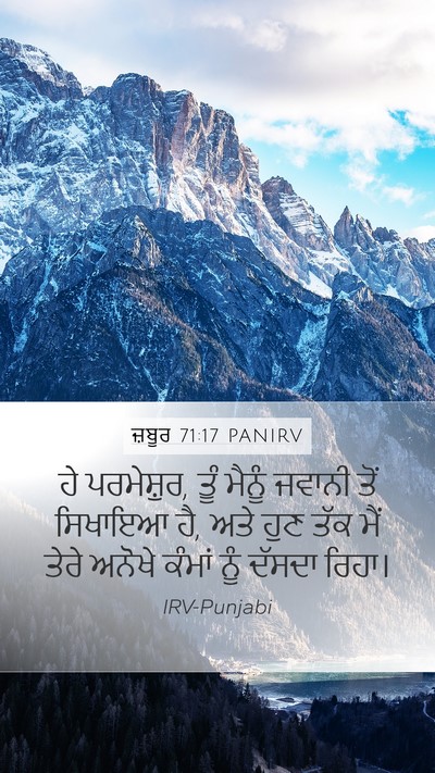 ਜ਼ਬੂਰ 71:17 PANIRV Bible Verse Image