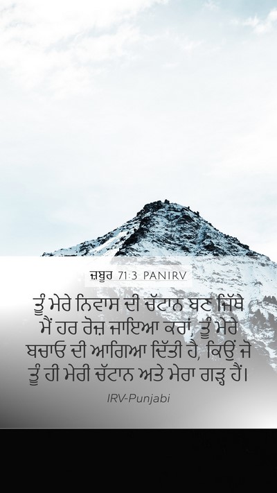 ਜ਼ਬੂਰ 71:3 PANIRV Bible Verse Image