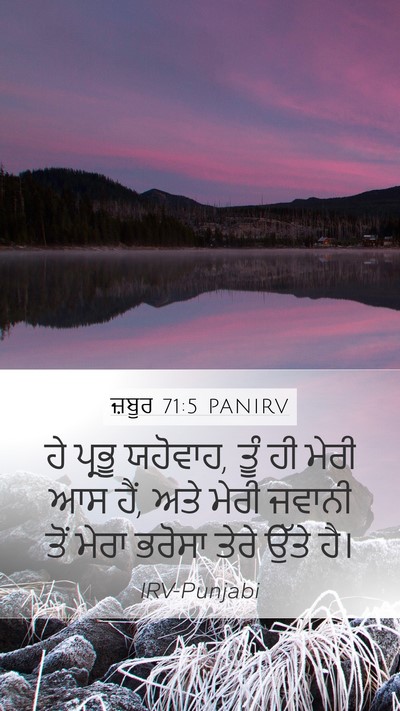 ਜ਼ਬੂਰ 71:5 PANIRV Bible Verse Image