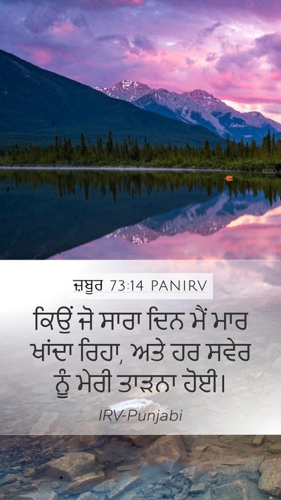 ਜ਼ਬੂਰ 73:14 PANIRV Bible Verse Image