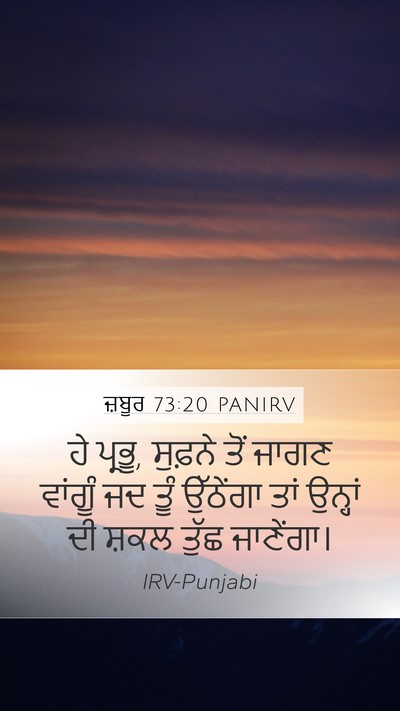 ਜ਼ਬੂਰ 73:20 PANIRV Bible Verse Image